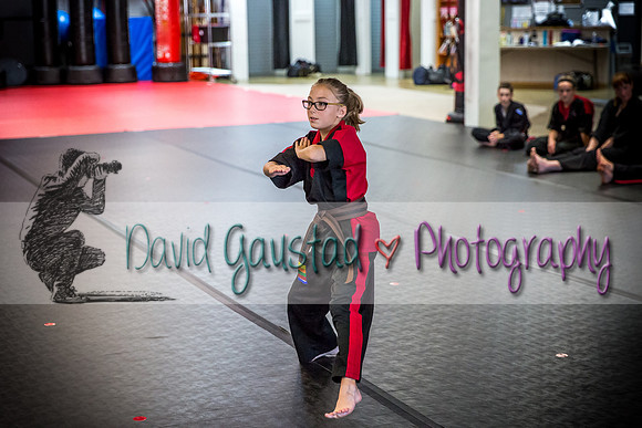 Midwest Professional Karate Black Belt Test 2016