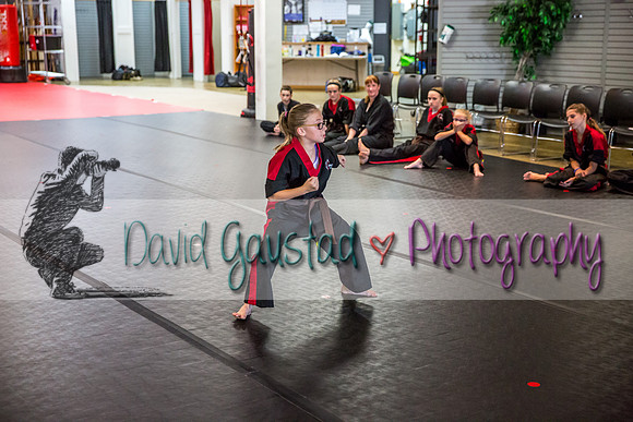 Midwest Professional Karate Black Belt Test 2016