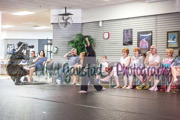 Midwest Professional Karate Black Belt Test 2016