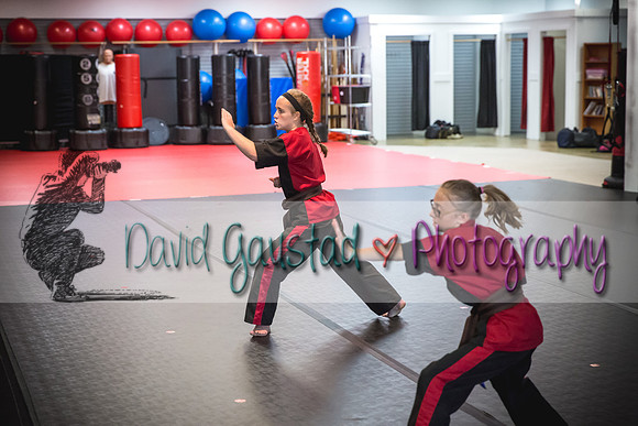 Midwest Professional Karate Black Belt Test 2016