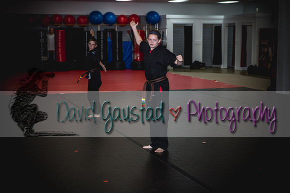 Midwest Professional Karate Black Belt Test 2016