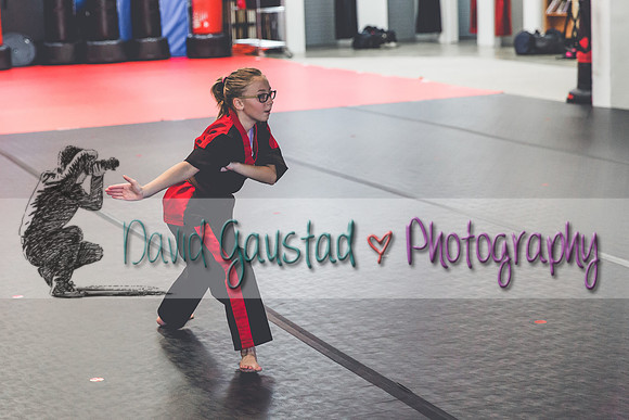 Midwest Professional Karate Black Belt Test 2016