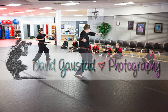 Midwest Professional Karate Black Belt Test 2016