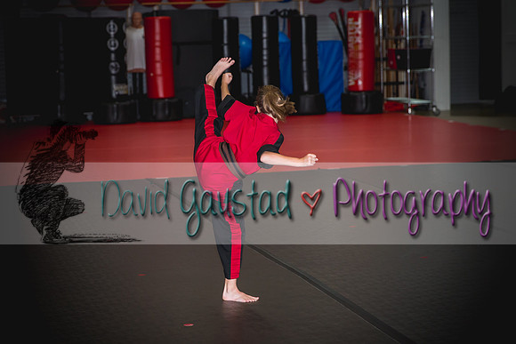 Midwest Professional Karate Black Belt Test 2016