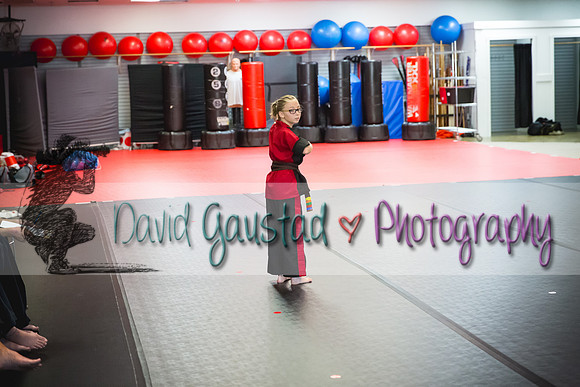 Midwest Professional Karate Black Belt Test 2016