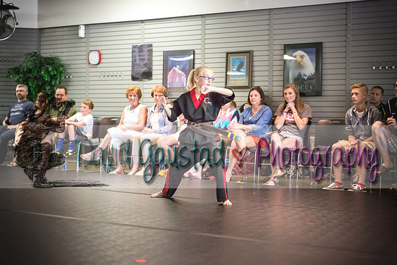 Midwest Professional Karate Black Belt Test 2016