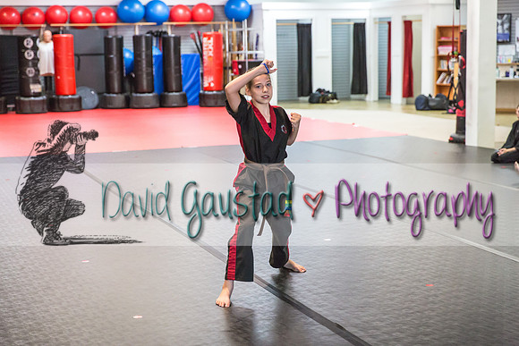 Midwest Professional Karate Black Belt Test 2016
