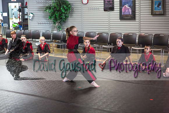 Midwest Professional Karate Black Belt Test 2016