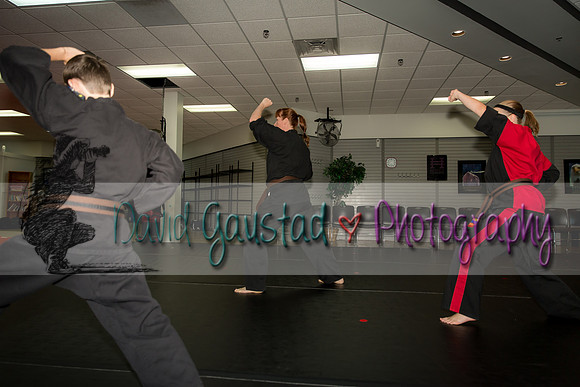 Midwest Professional Karate Black Belt Test 2016