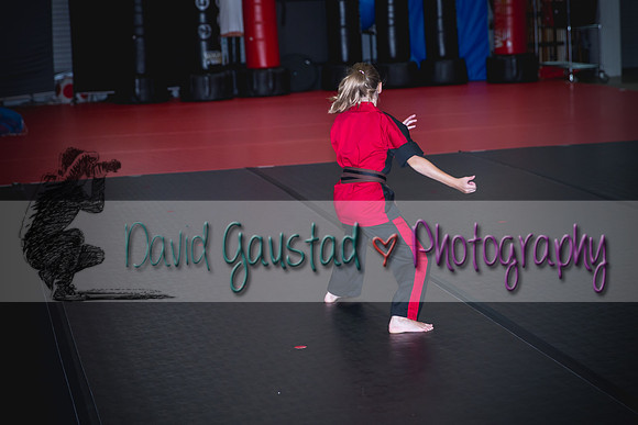 Midwest Professional Karate Black Belt Test 2016