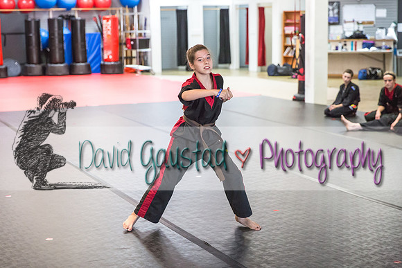 Midwest Professional Karate Black Belt Test 2016