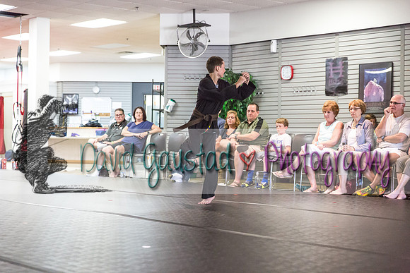 Midwest Professional Karate Black Belt Test 2016