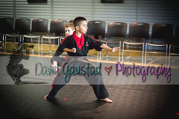 Midwest Professional Karate Black Belt Test 2016