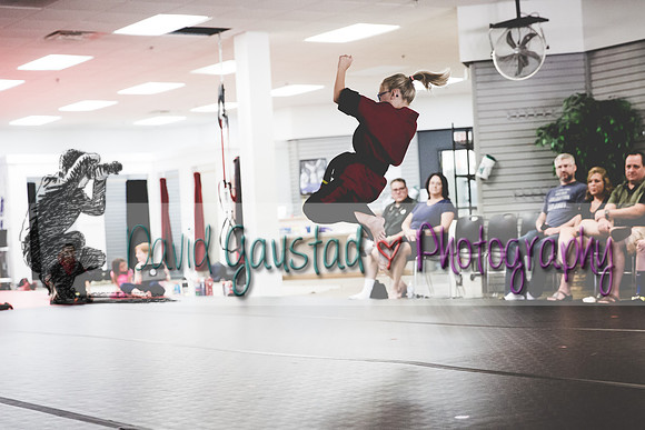 Midwest Professional Karate Black Belt Test 2016