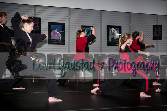 Midwest Professional Karate Black Belt Test 2016