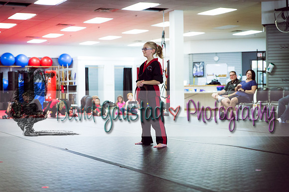 Midwest Professional Karate Black Belt Test 2016