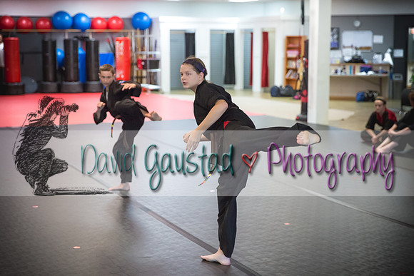 Midwest Professional Karate Black Belt Test 2016