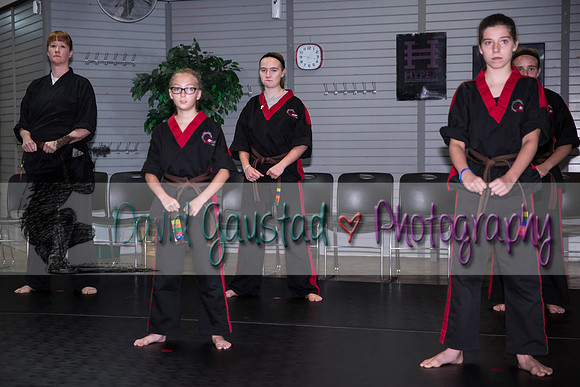 Midwest Professional Karate Black Belt Test 2016