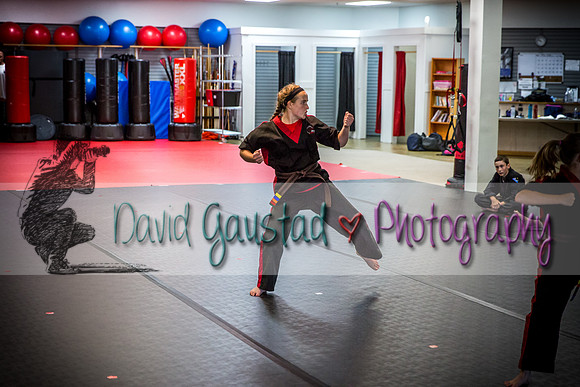 Midwest Professional Karate Black Belt Test 2016