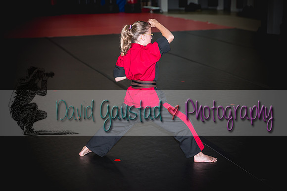 Midwest Professional Karate Black Belt Test 2016
