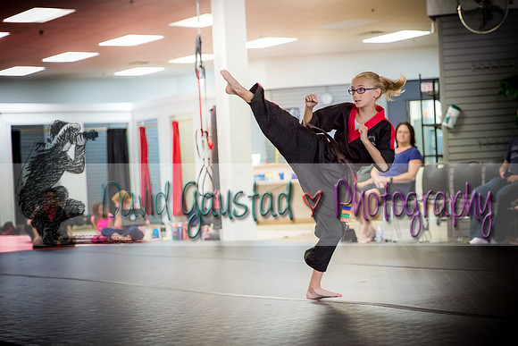 Midwest Professional Karate Black Belt Test 2016