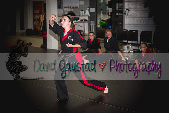 Midwest Professional Karate Black Belt Test 2016