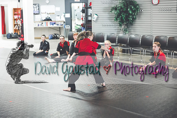 Midwest Professional Karate Black Belt Test 2016