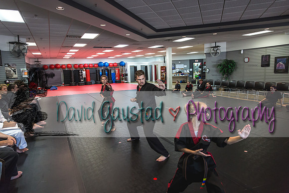 Midwest Professional Karate Black Belt Test 2016