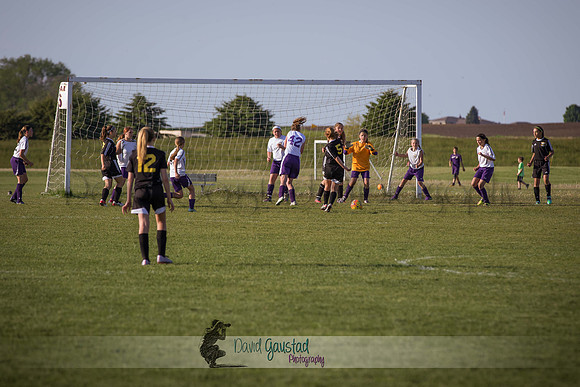 DeForest Norski soccer vs Rock on 5/21/2016