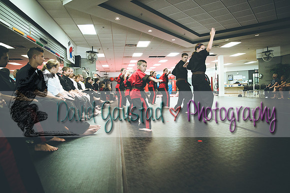 Midwest Professional Karate Black Belt Test 2016