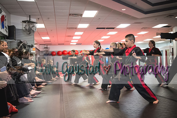 Midwest Professional Karate Black Belt Test 2016