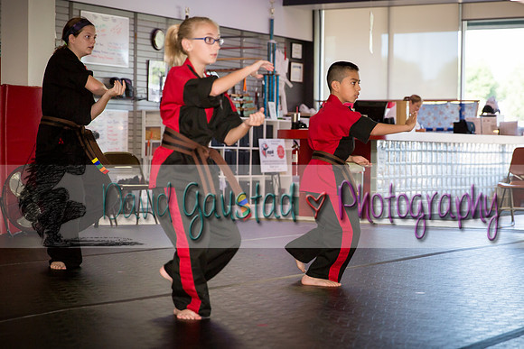 Midwest Professional Karate Black Belt Test 2016