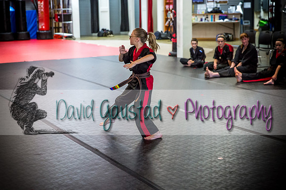 Midwest Professional Karate Black Belt Test 2016
