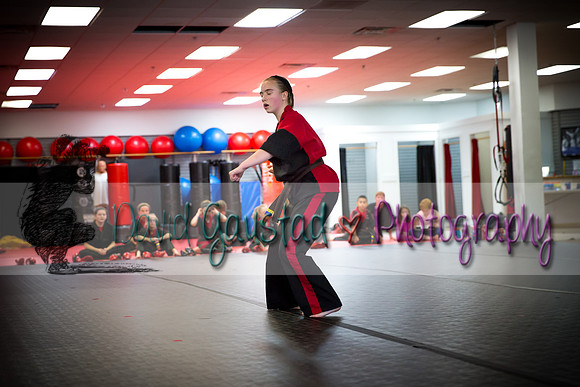 Midwest Professional Karate Black Belt Test 2016