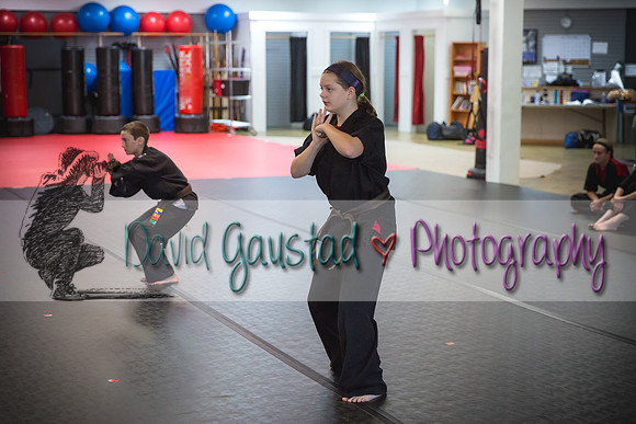 Midwest Professional Karate Black Belt Test 2016
