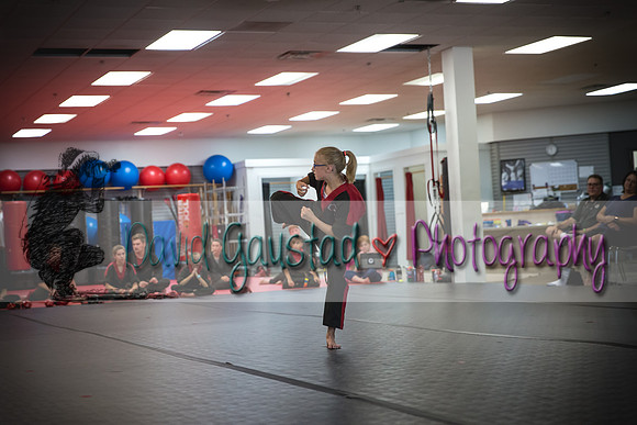 Midwest Professional Karate Black Belt Test 2016