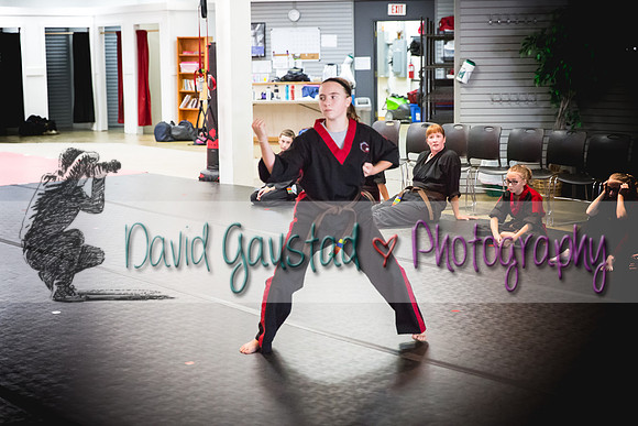 Midwest Professional Karate Black Belt Test 2016