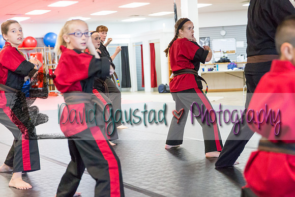 Midwest Professional Karate Black Belt Test 2016