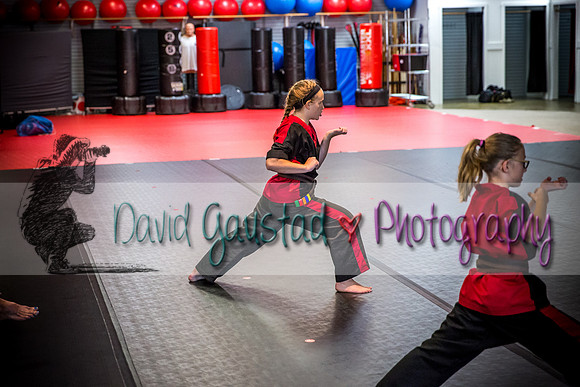 Midwest Professional Karate Black Belt Test 2016