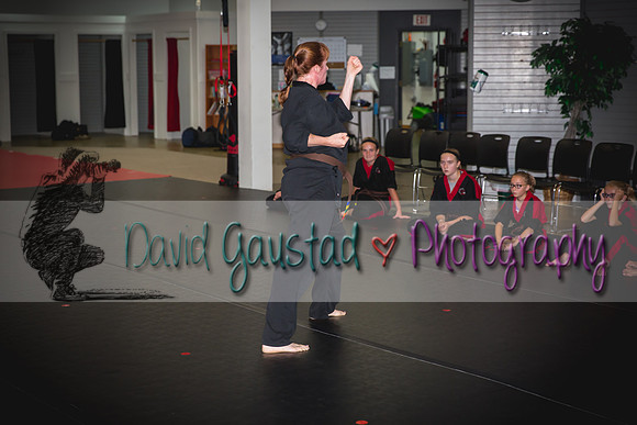 Midwest Professional Karate Black Belt Test 2016