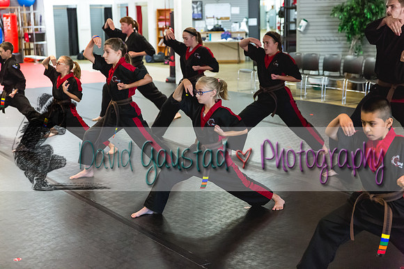 Midwest Professional Karate Black Belt Test 2016