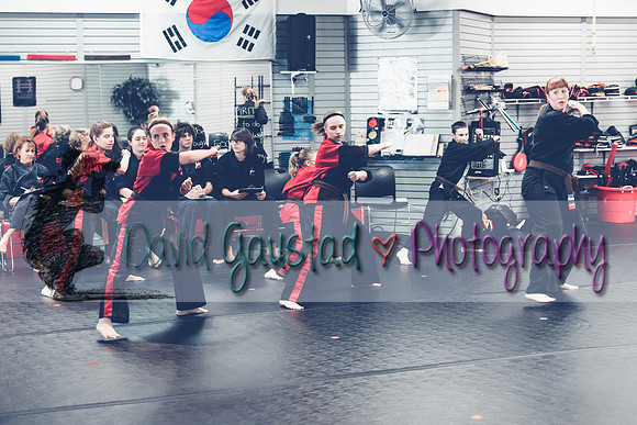 Midwest Professional Karate Black Belt Test 2016