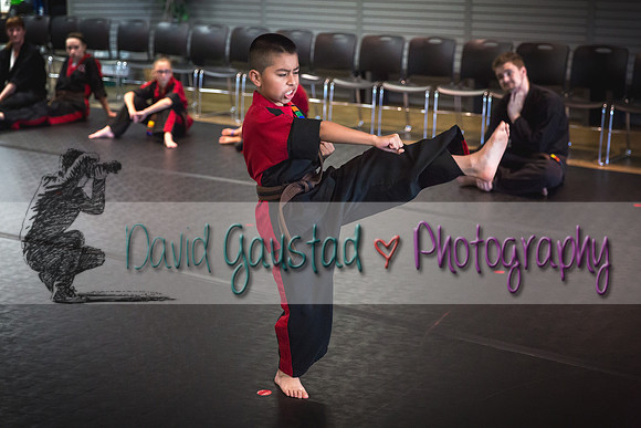 Midwest Professional Karate Black Belt Test 2016