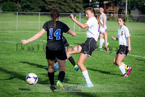 DeForest Girls JV Soccer vs Lodi on May 24th 2016