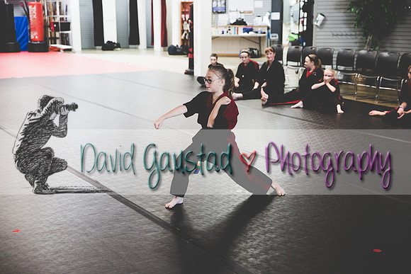Midwest Professional Karate Black Belt Test 2016
