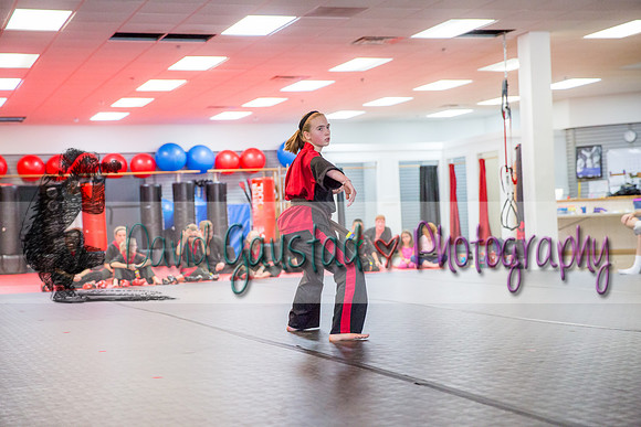 Midwest Professional Karate Black Belt Test 2016