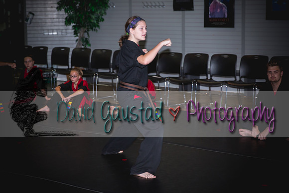 Midwest Professional Karate Black Belt Test 2016