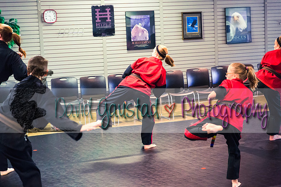 Midwest Professional Karate Black Belt Test 2016