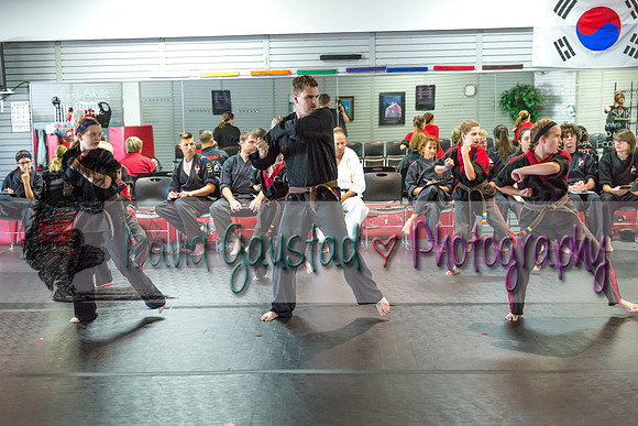 Midwest Professional Karate Black Belt Test 2016