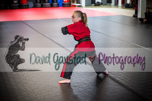 Midwest Professional Karate Black Belt Test 2016